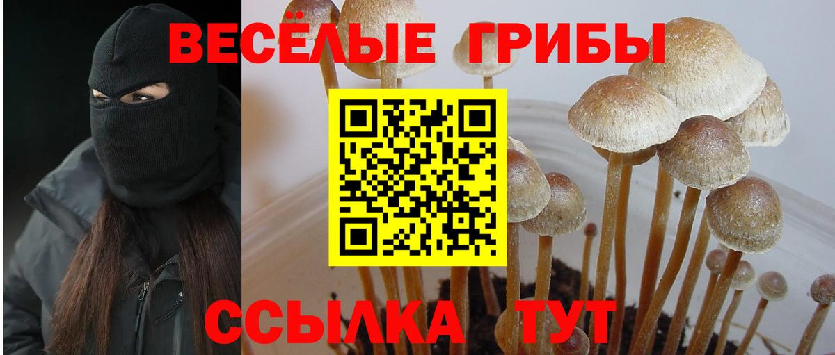 Псилоцибиновые грибы Magic Shrooms  Псилоцибиновые грибы MAGIC MUSHROOMS  Вход с VPN  Казань 