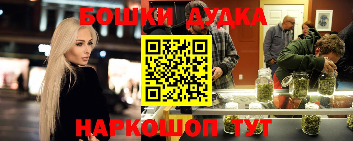 Канабис план  Казань  Каннабис сатива  Конопля OG Kush 